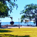 Exploring Avondale: A Jacksonville Neighborhood